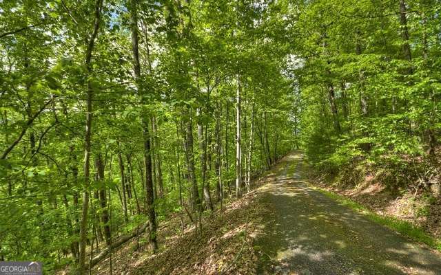 Lot 1 High Country Lane Morganton GA 30560
