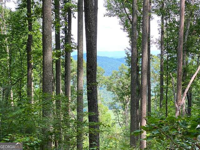 Lot 1 High Country Lane Morganton GA 30560