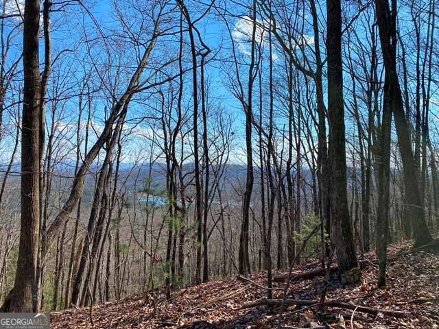 Lot 1 High Country Lane Morganton GA 30560