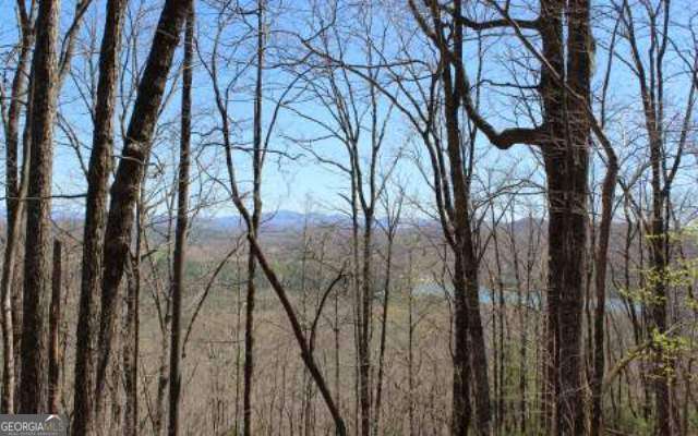 Lot 1 High Country Lane Morganton GA 30560