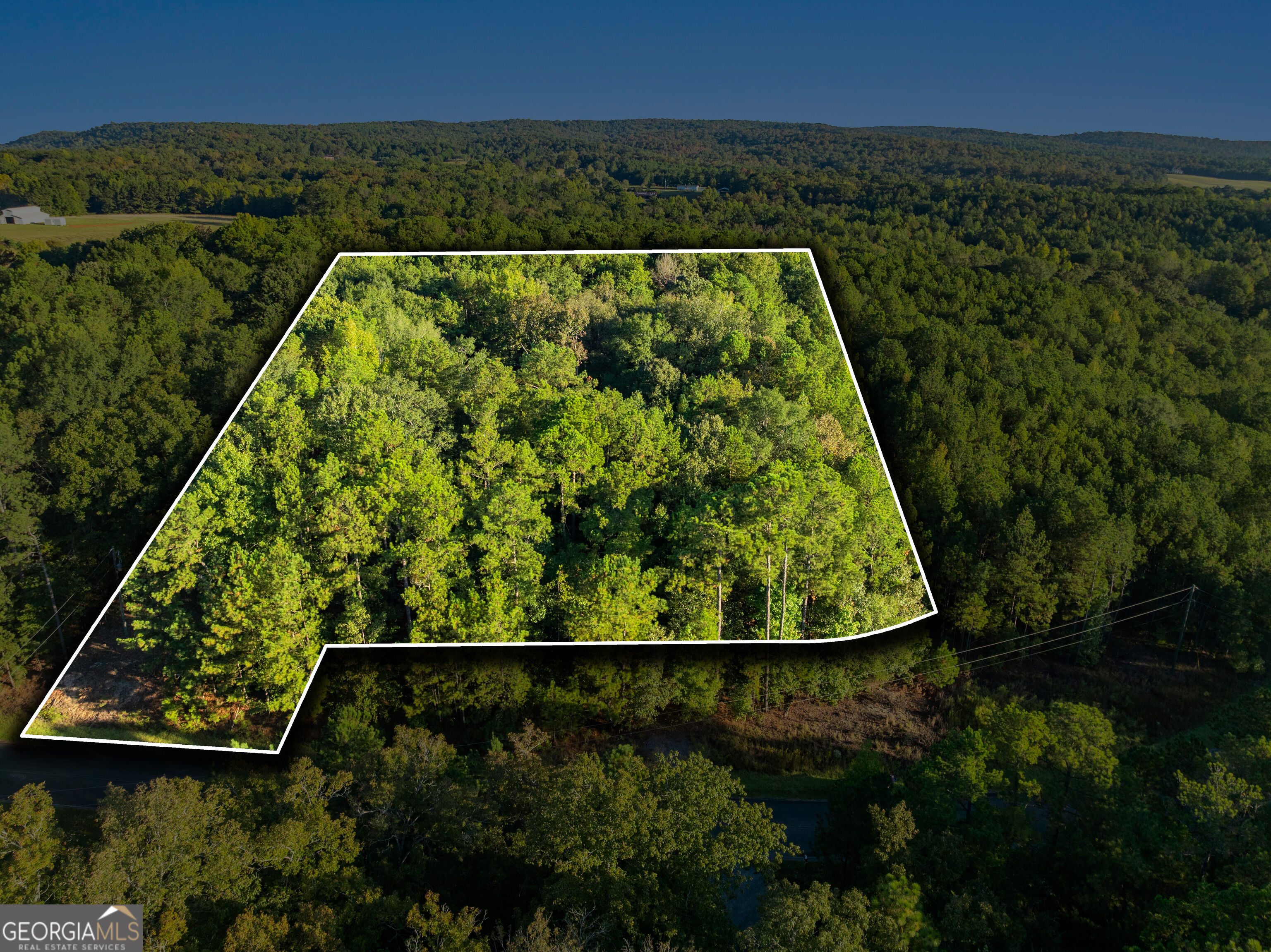 0 Charlie Jones Road Thomaston GA 30286
