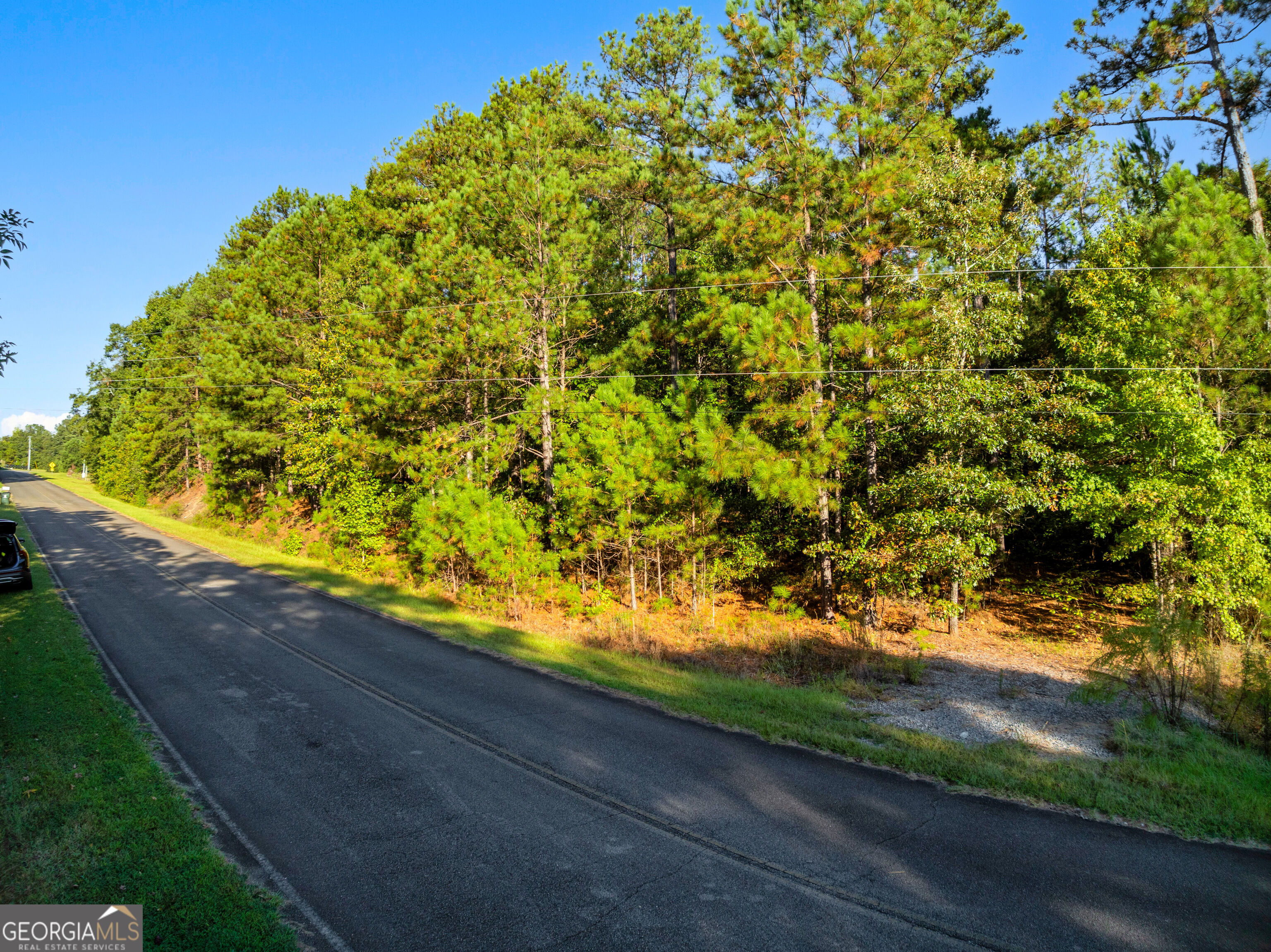 0 Charlie Jones Road Thomaston GA 30286