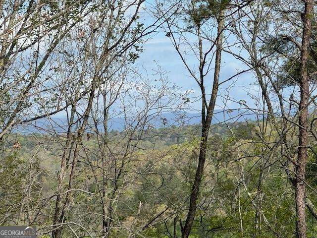 TRACT1 Panorama Dahlonega GA 30533