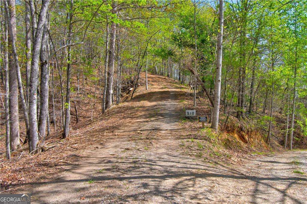 TRACT1 Panorama Dahlonega GA 30533