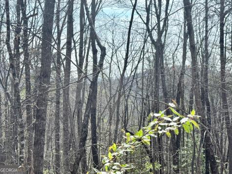 0 Roundtop Drive Clayton GA 30525