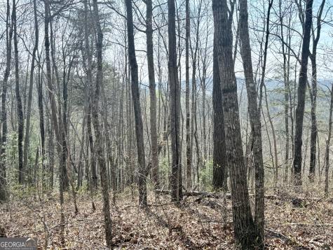 0 Roundtop Drive Clayton GA 30525