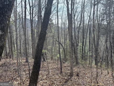 0 Roundtop Drive Clayton GA 30525