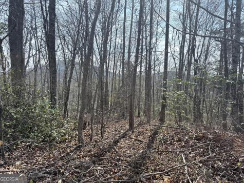 0 Roundtop Drive Clayton GA 30525
