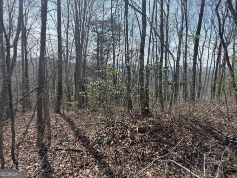 0 Roundtop Drive Clayton GA 30525
