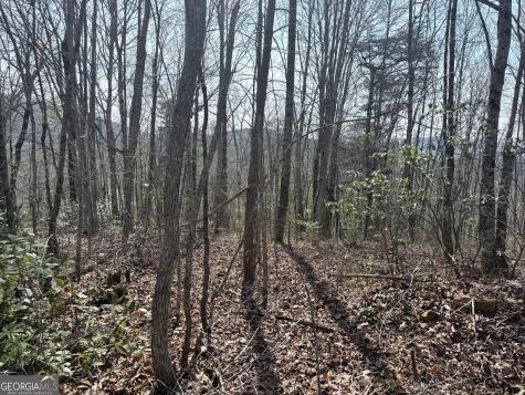 0 Roundtop Drive Clayton GA 30525