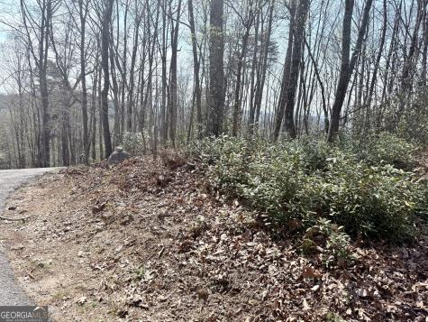 0 Roundtop Drive Clayton GA 30525