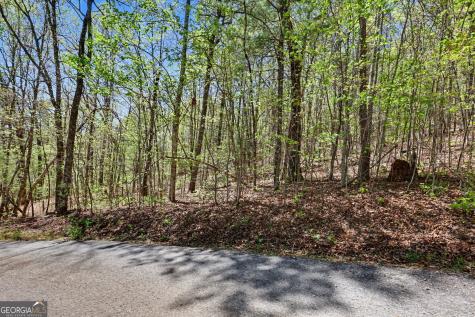 0 Roundtop Drive Clayton GA 30525