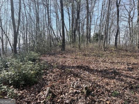 0 Roundtop Drive Clayton GA 30525
