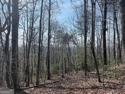 0 Roundtop Drive Clayton GA 30525