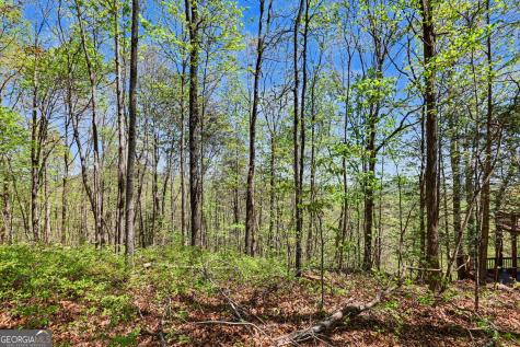 0 Roundtop Drive Clayton GA 30525