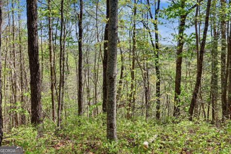0 Roundtop Drive Clayton GA 30525