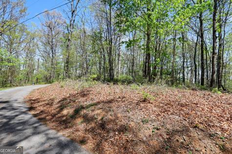 0 Roundtop Drive Clayton GA 30525
