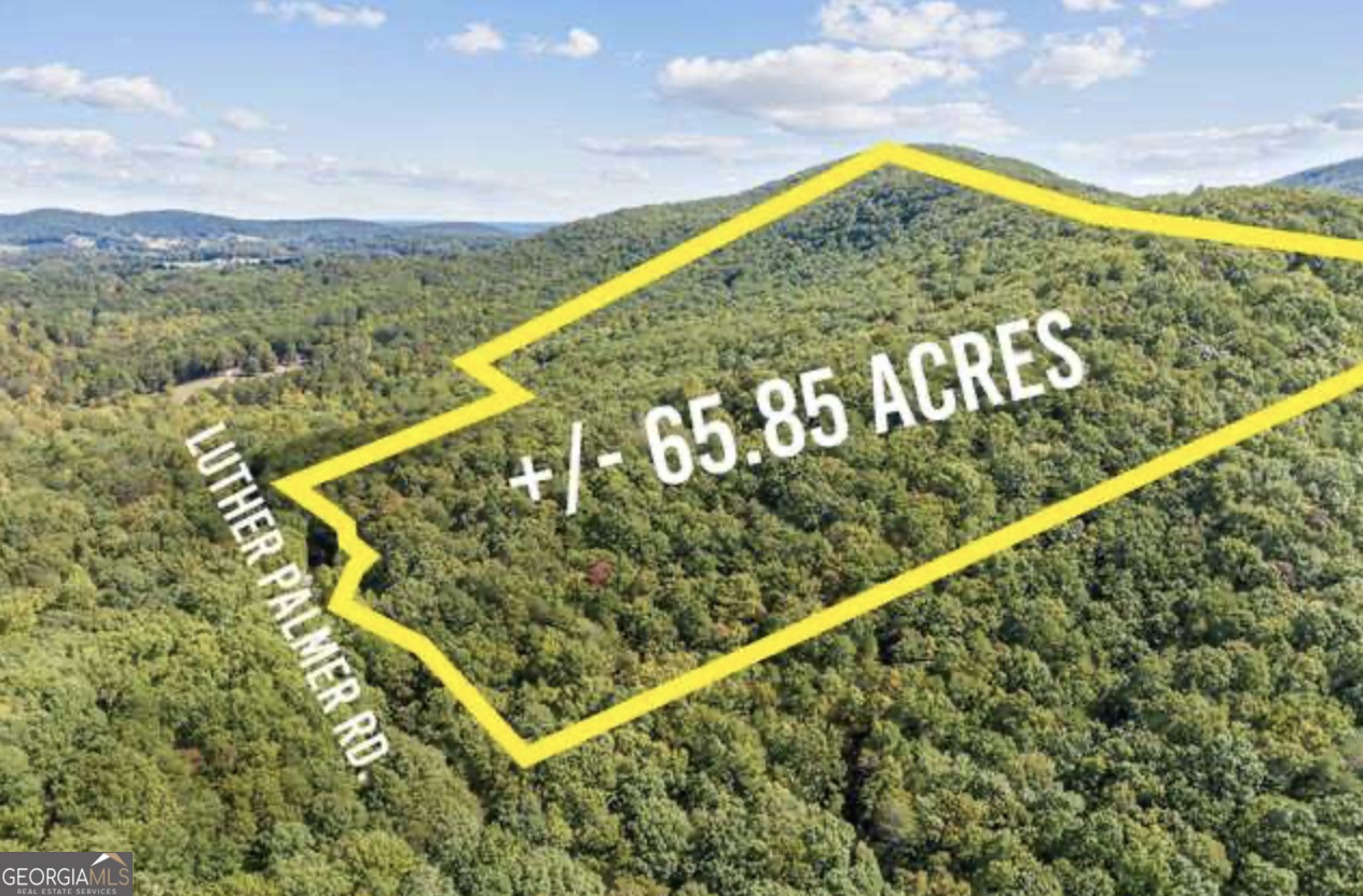 Lot 24 Luther Palmer Road Cleveland GA 30528