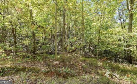Lot 24 Luther Palmer Road Cleveland GA 30528