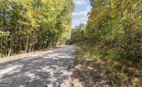 Lot 24 Luther Palmer Road Cleveland GA 30528