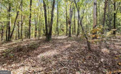 Lot 24 Luther Palmer Road Cleveland GA 30528