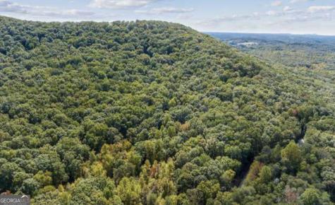 Lot 24 Luther Palmer Road Cleveland GA 30528