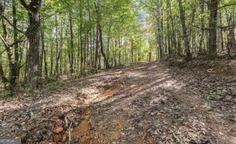 Lot 24 Luther Palmer Road Cleveland GA 30528