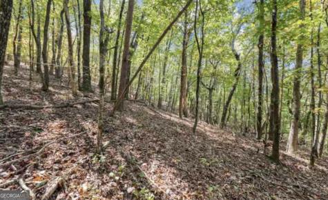Lot 24 Luther Palmer Road Cleveland GA 30528