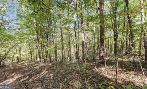 Lot 24 Luther Palmer Road Cleveland GA 30528