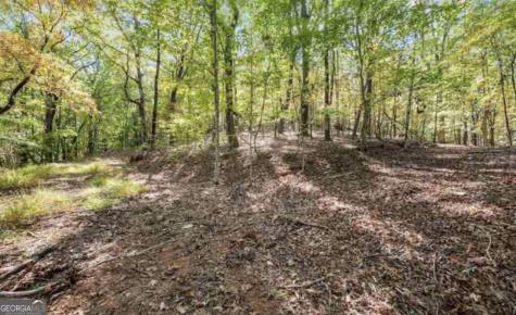 Lot 24 Luther Palmer Road Cleveland GA 30528