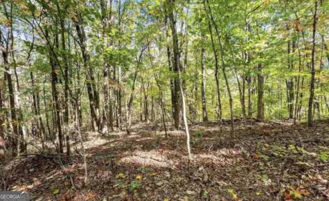 Lot 24 Luther Palmer Road Cleveland GA 30528