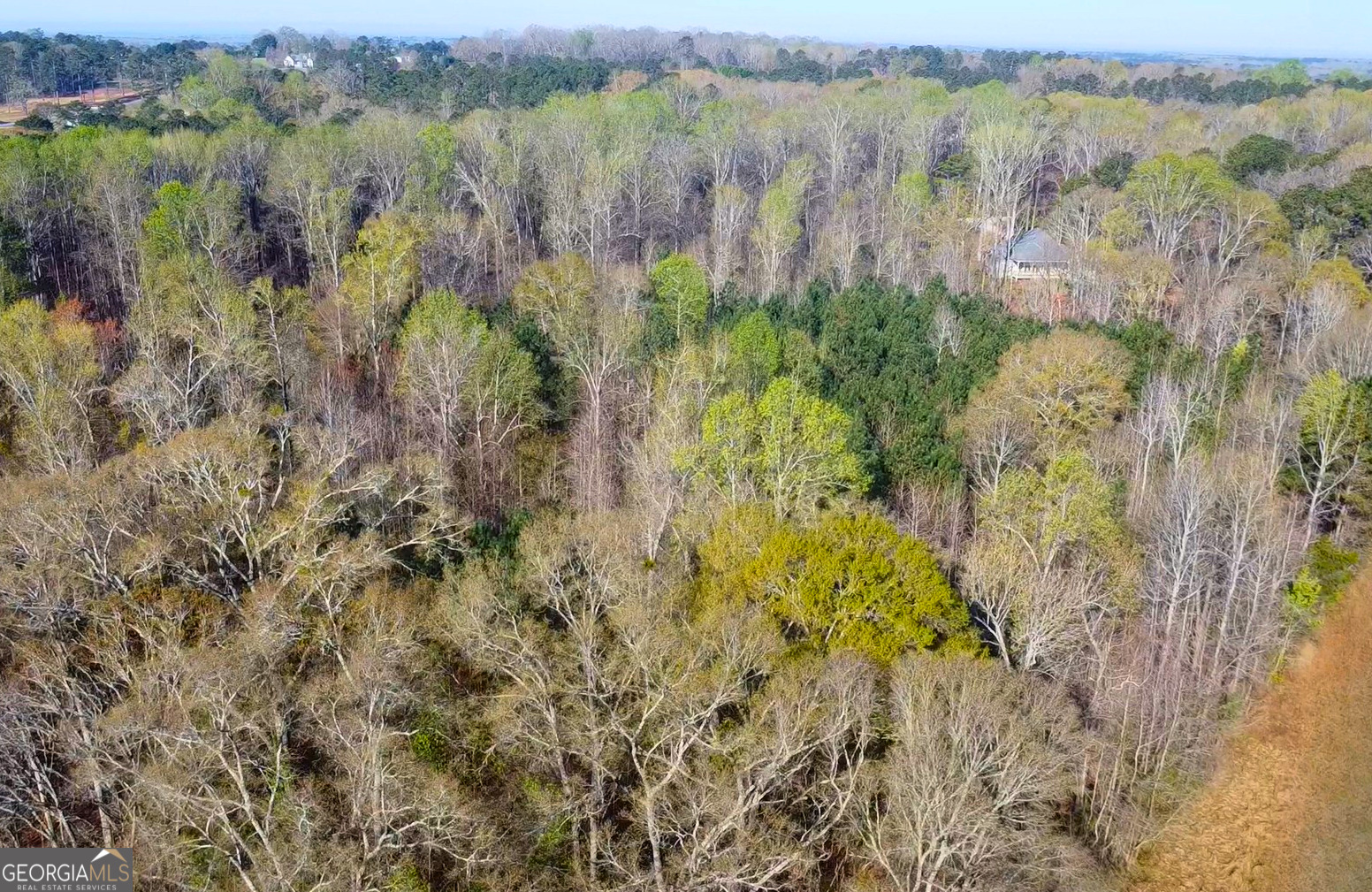 44 Aileron Lane Williamson GA 30292