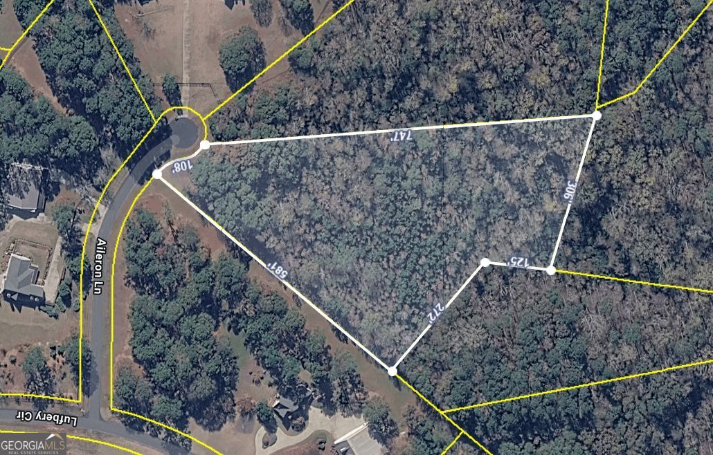 44 Aileron Lane Williamson GA 30292