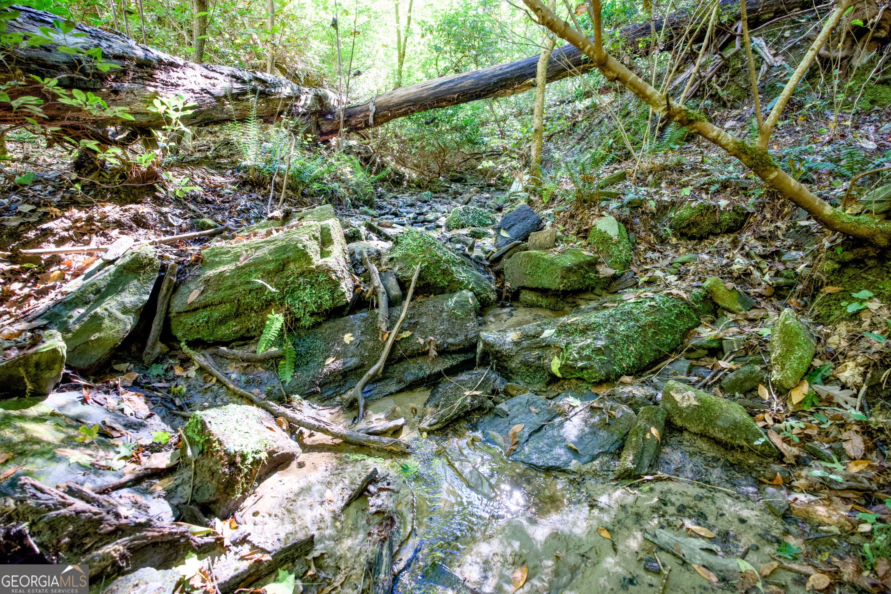 57 Ac Soapstone Road Baldwin GA 30511