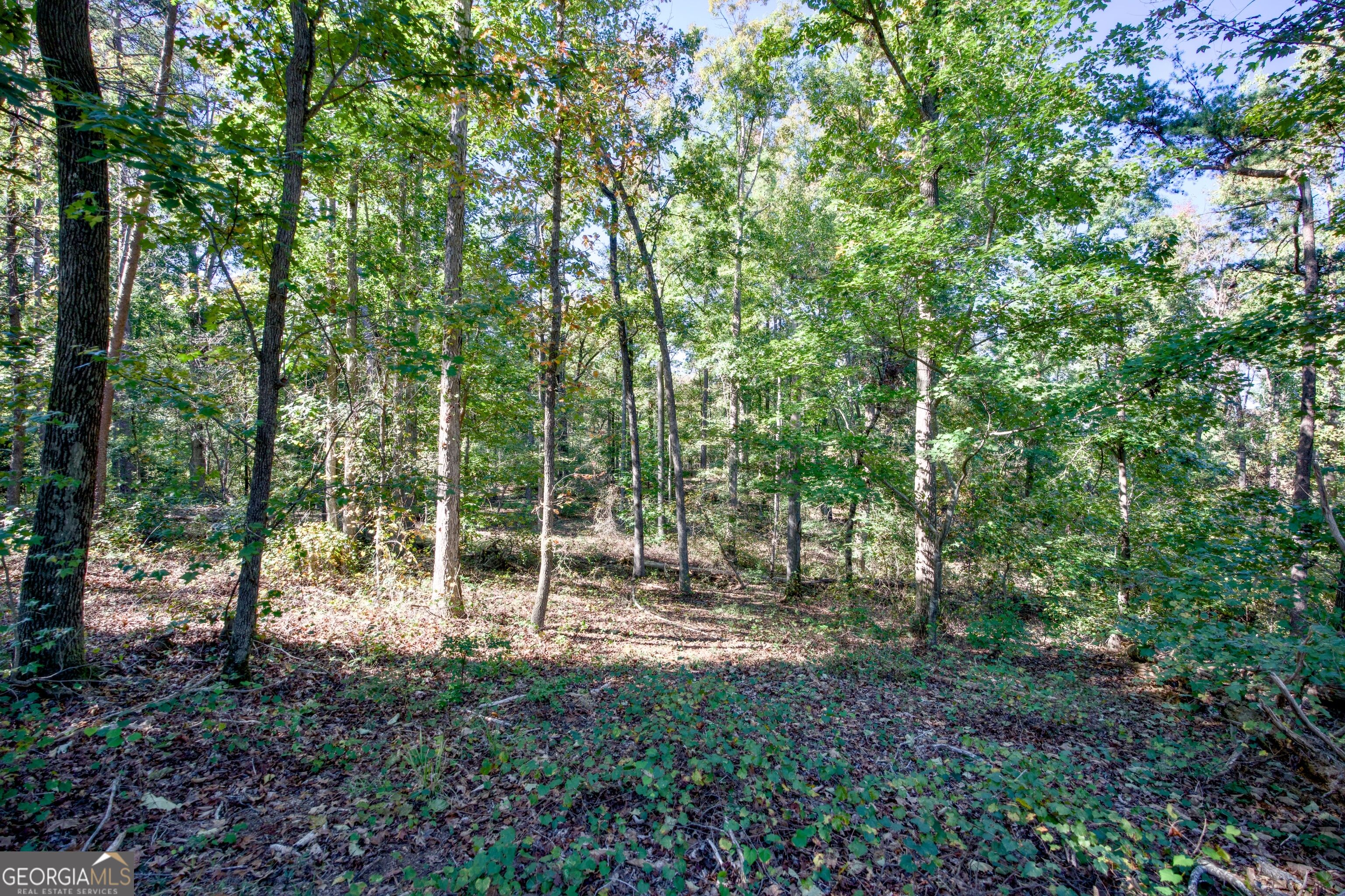 57 Ac Soapstone Road Baldwin GA 30511