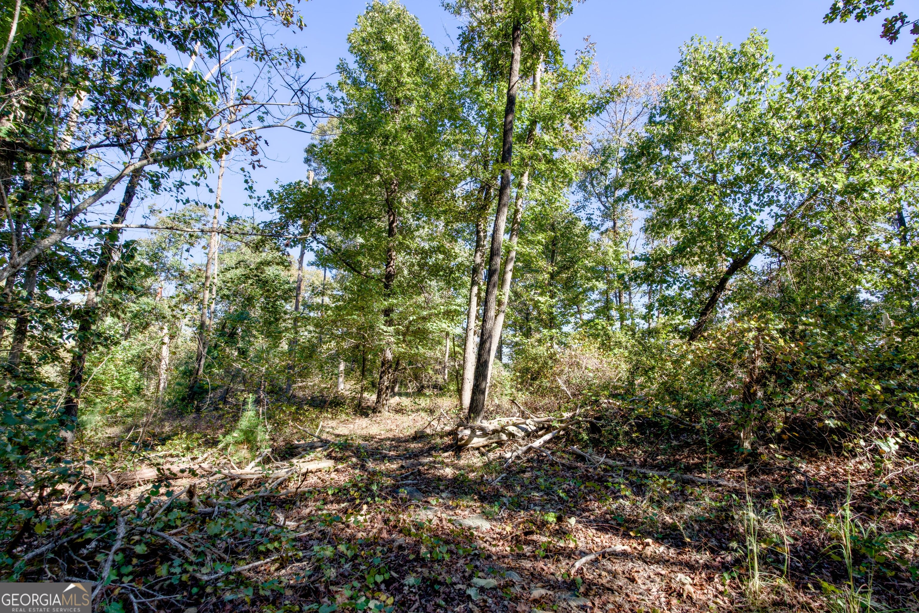 57 Ac Soapstone Road Baldwin GA 30511