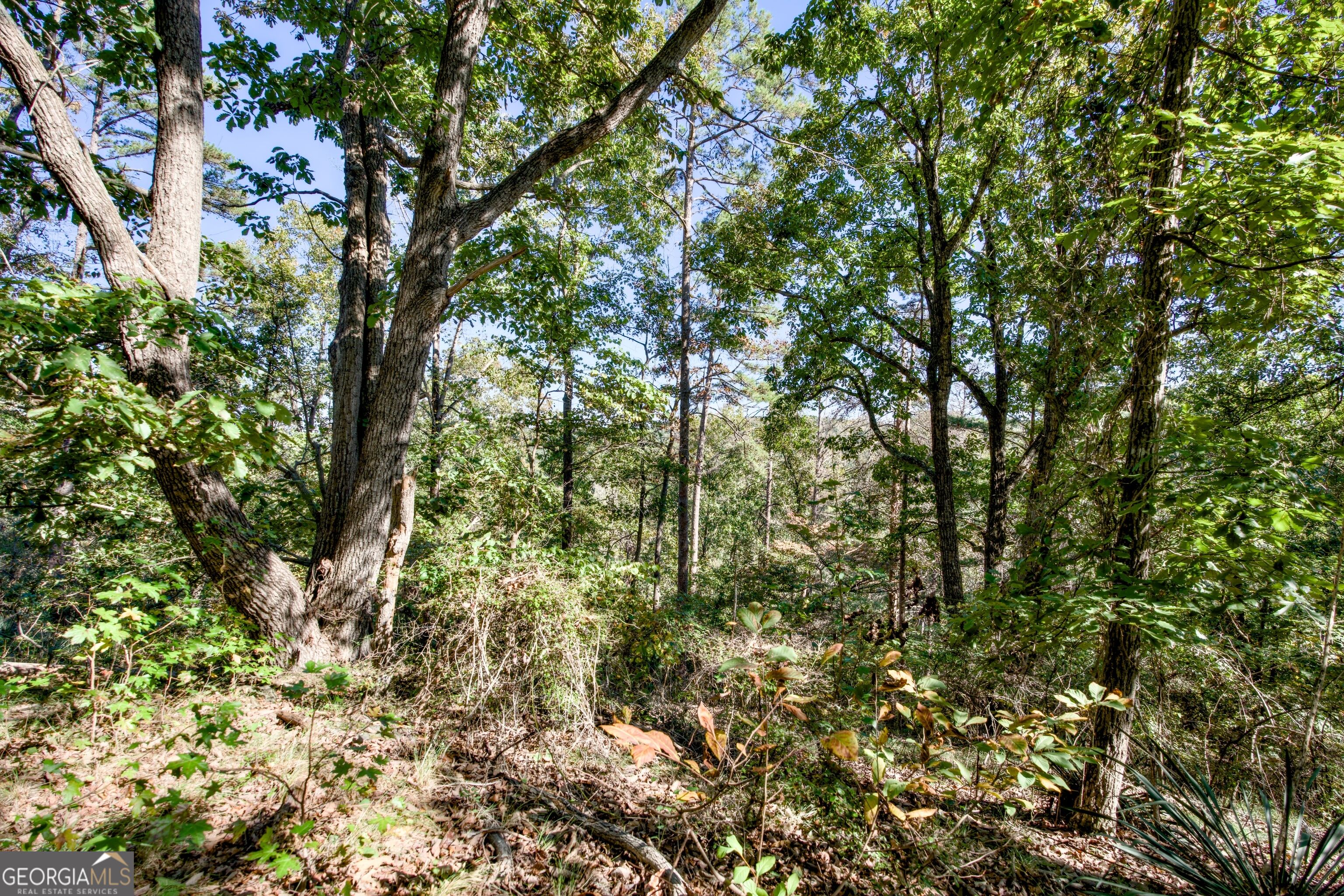 57 Ac Soapstone Road Baldwin GA 30511
