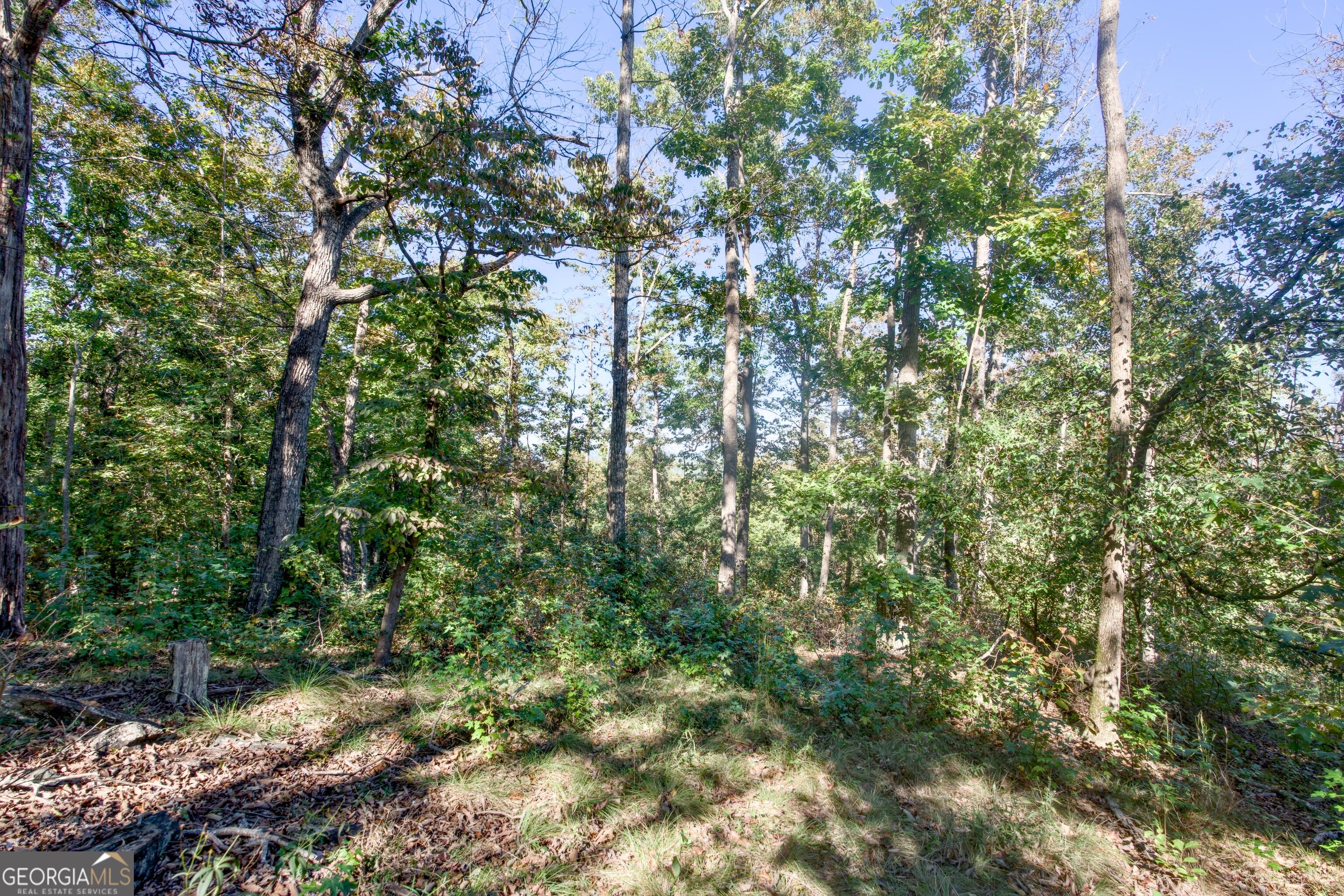 57 Ac Soapstone Road Baldwin GA 30511