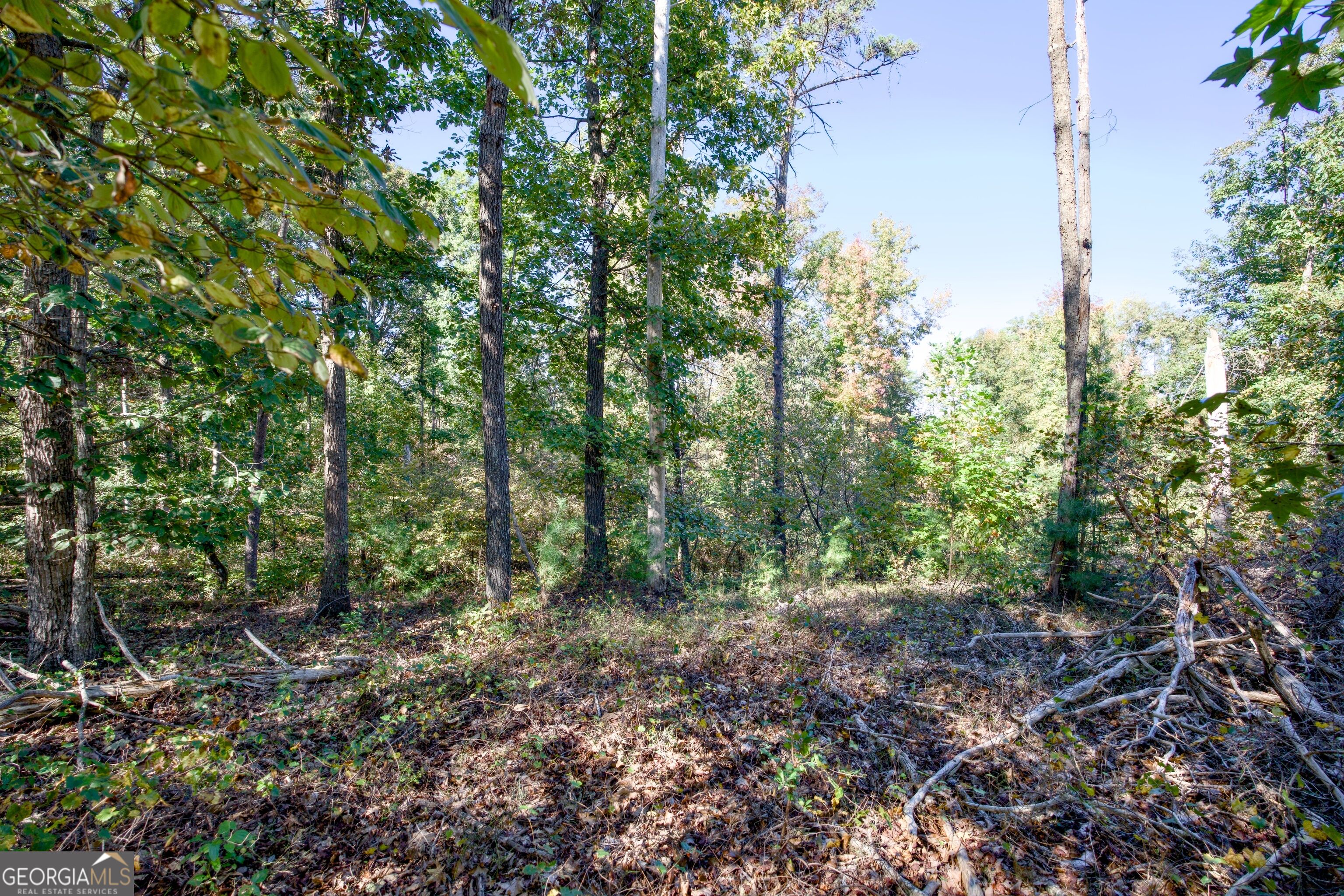 57 Ac Soapstone Road Baldwin GA 30511