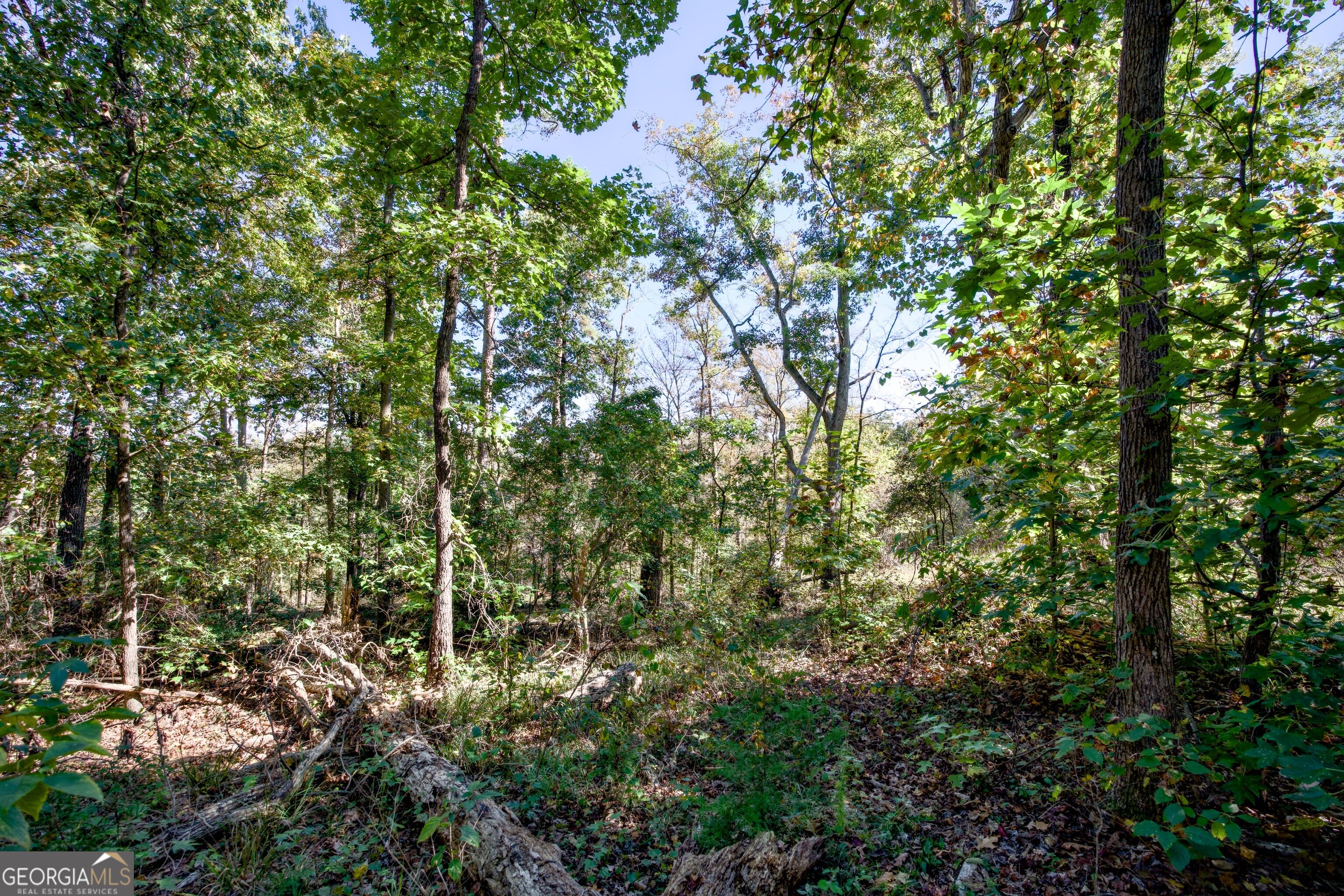 57 Ac Soapstone Road Baldwin GA 30511