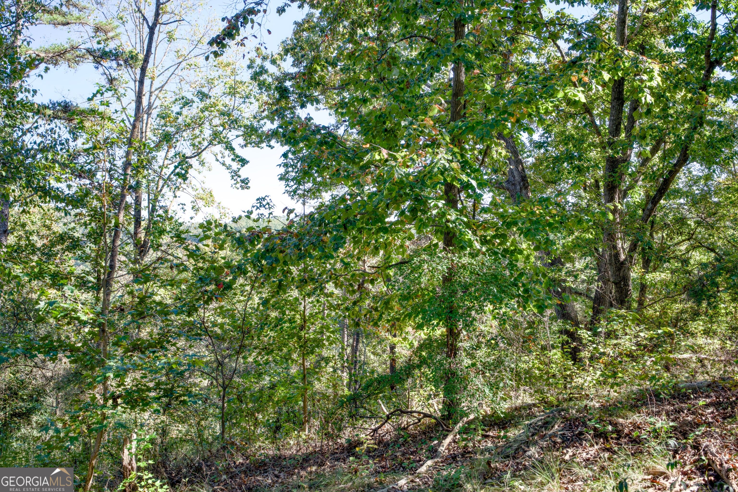 57 Ac Soapstone Road Baldwin GA 30511