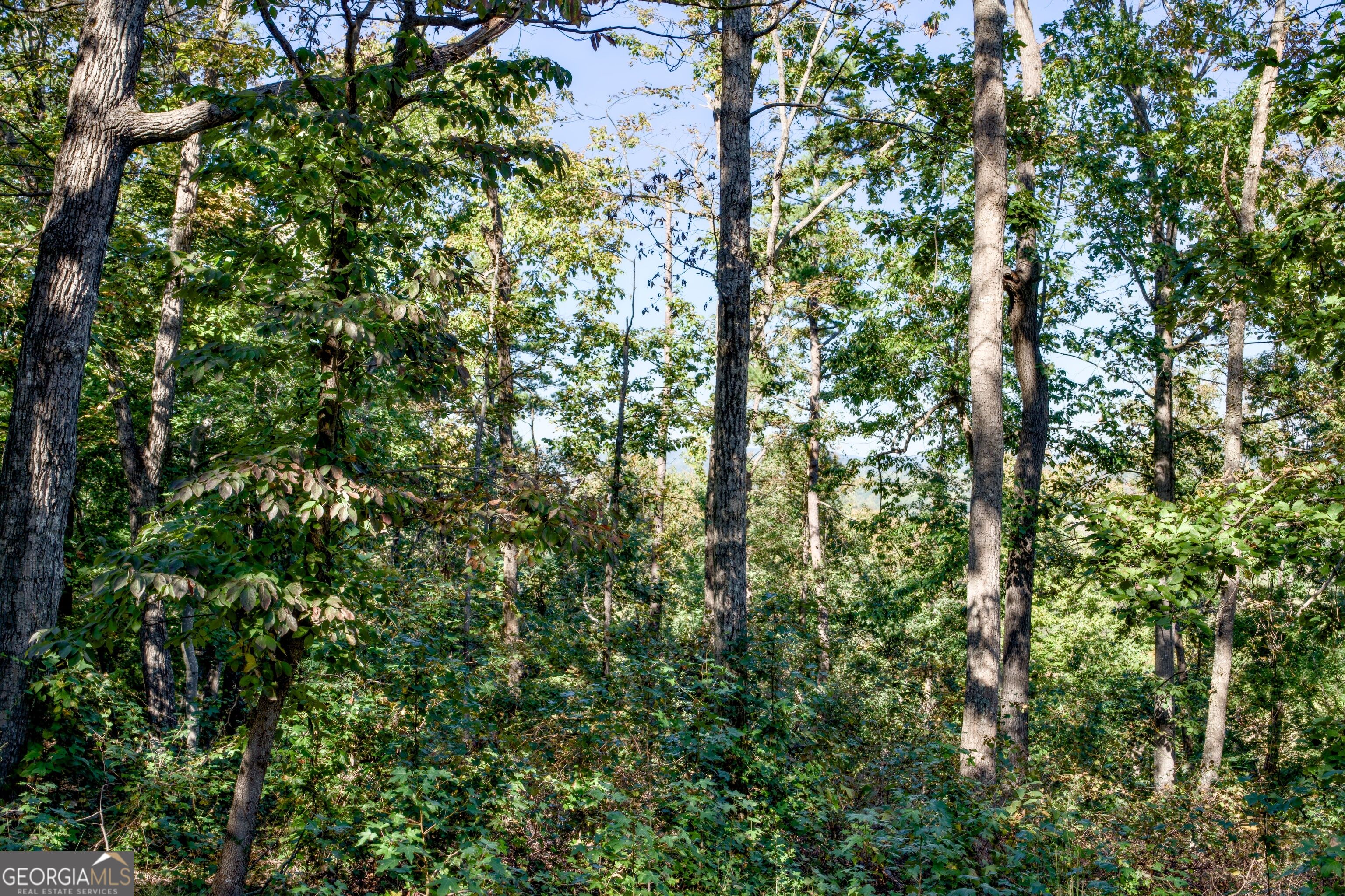 57 Ac Soapstone Road Baldwin GA 30511
