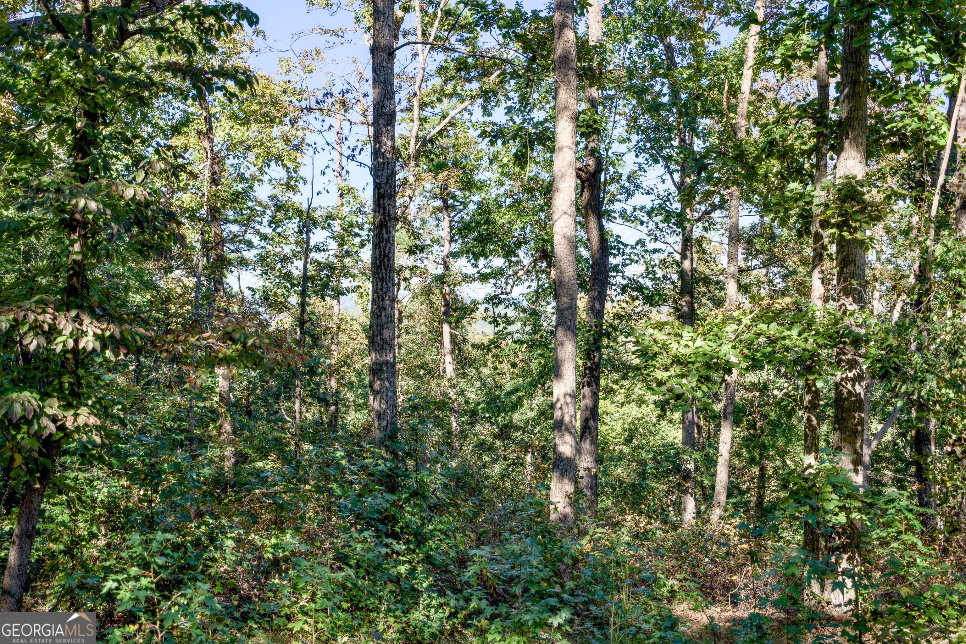 57 Ac Soapstone Road Baldwin GA 30511