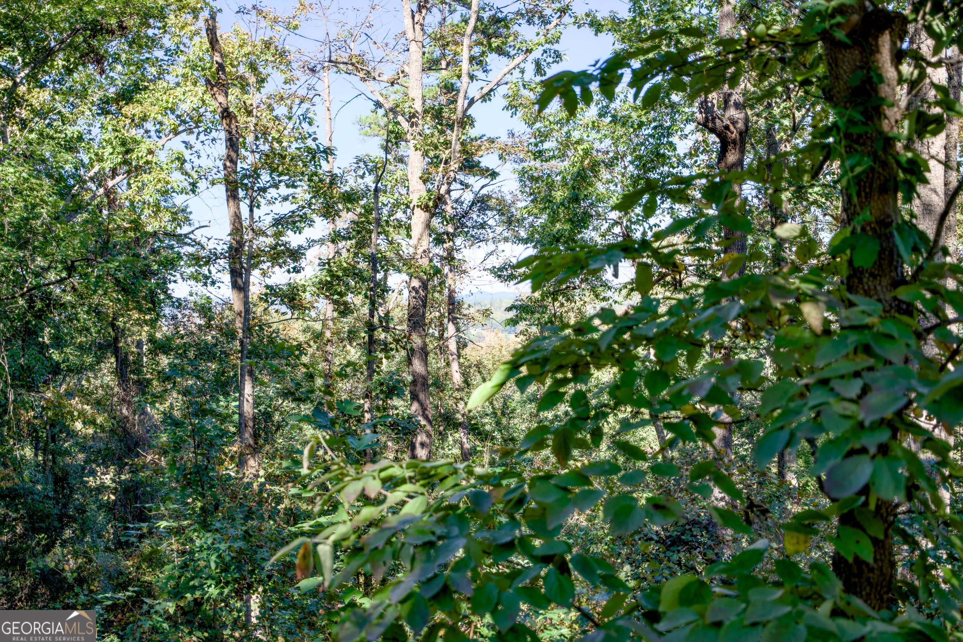 57 Ac Soapstone Road Baldwin GA 30511