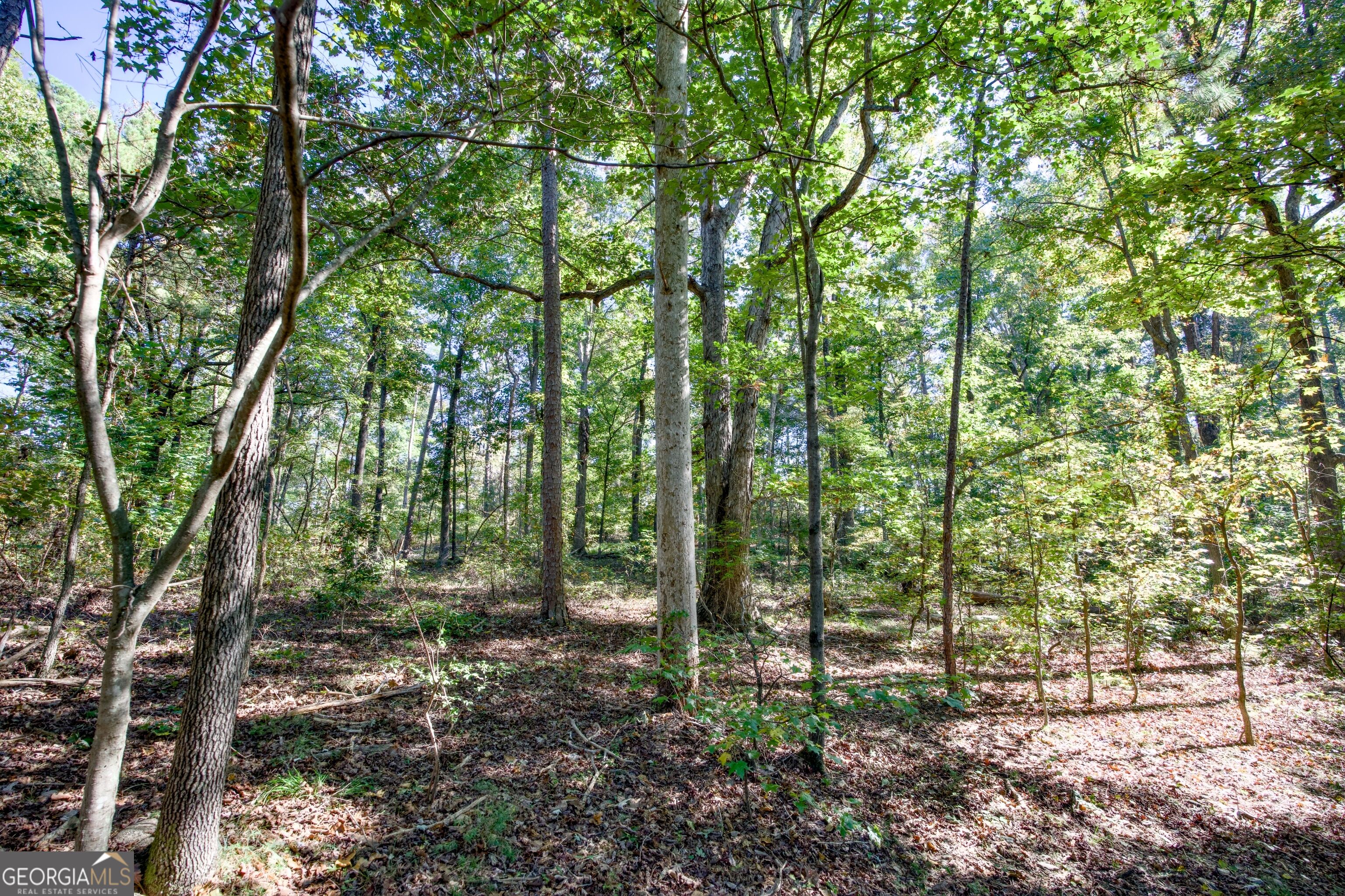 57 Ac Soapstone Road Baldwin GA 30511