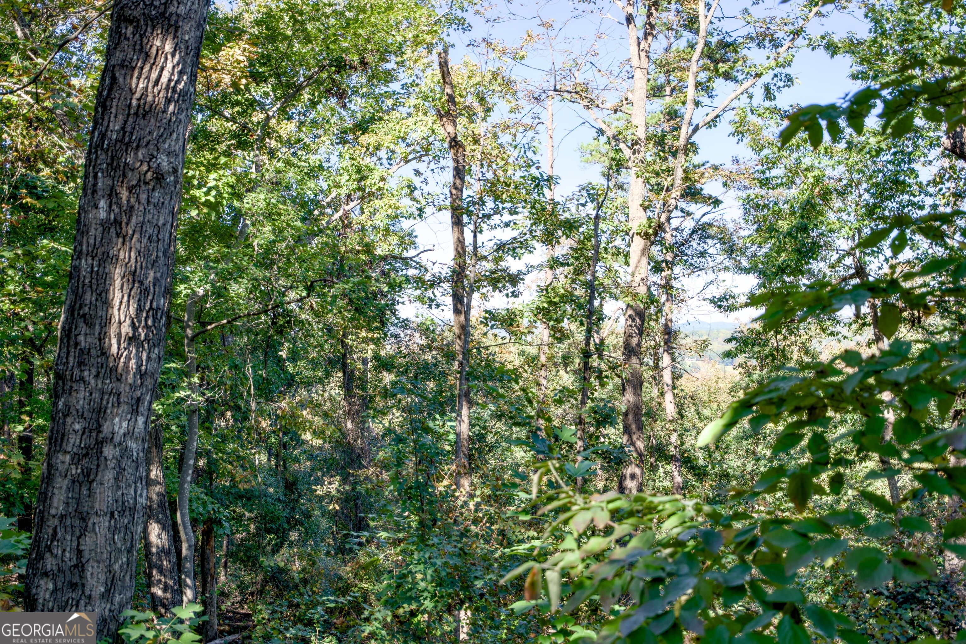 57 Ac Soapstone Road Baldwin GA 30511