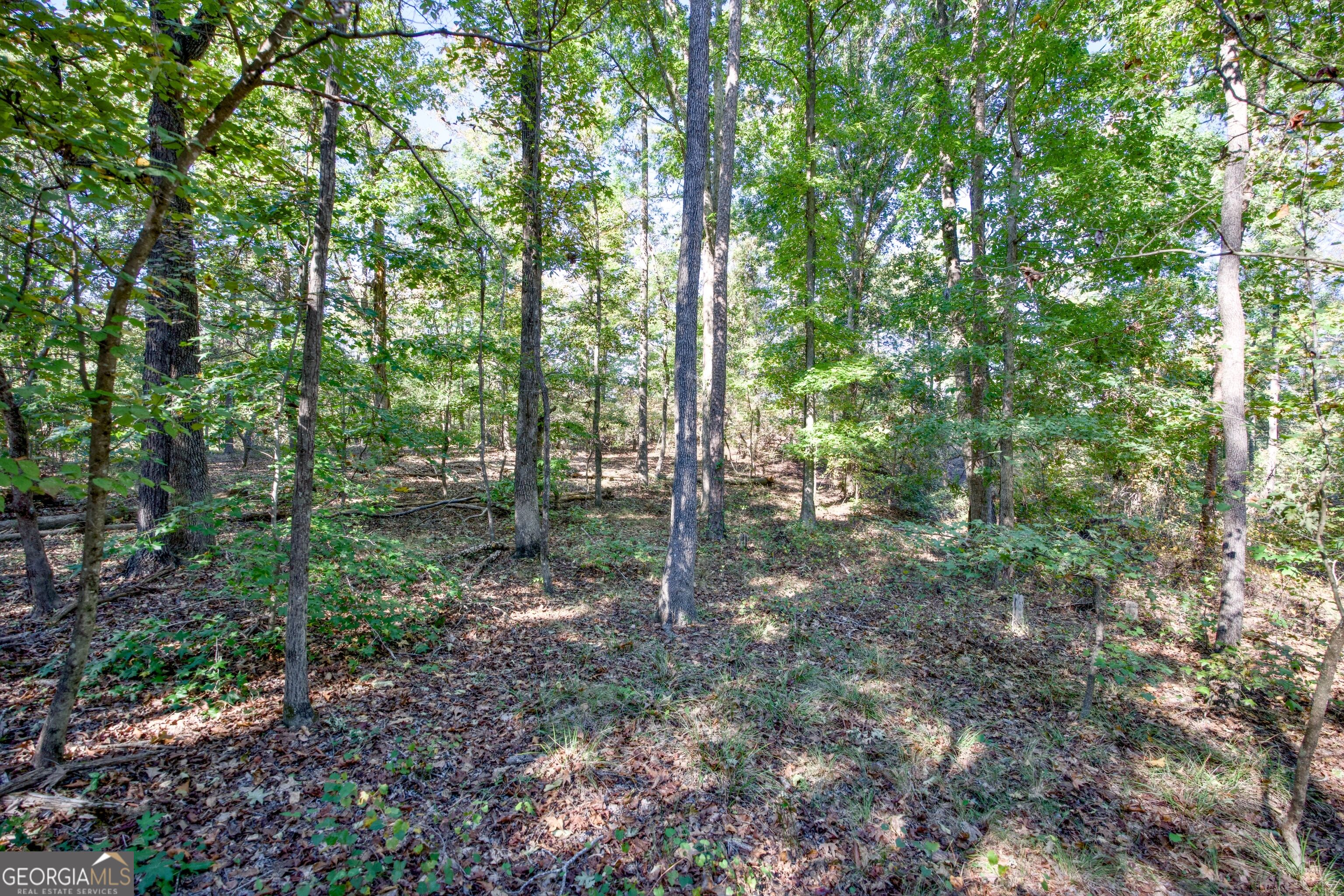 57 Ac Soapstone Road Baldwin GA 30511