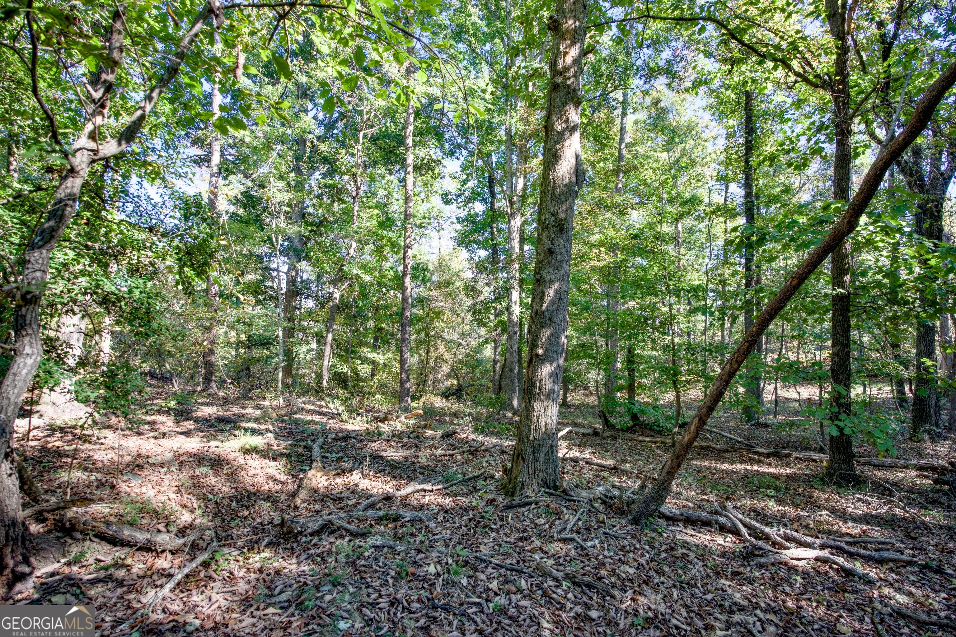 57 Ac Soapstone Road Baldwin GA 30511