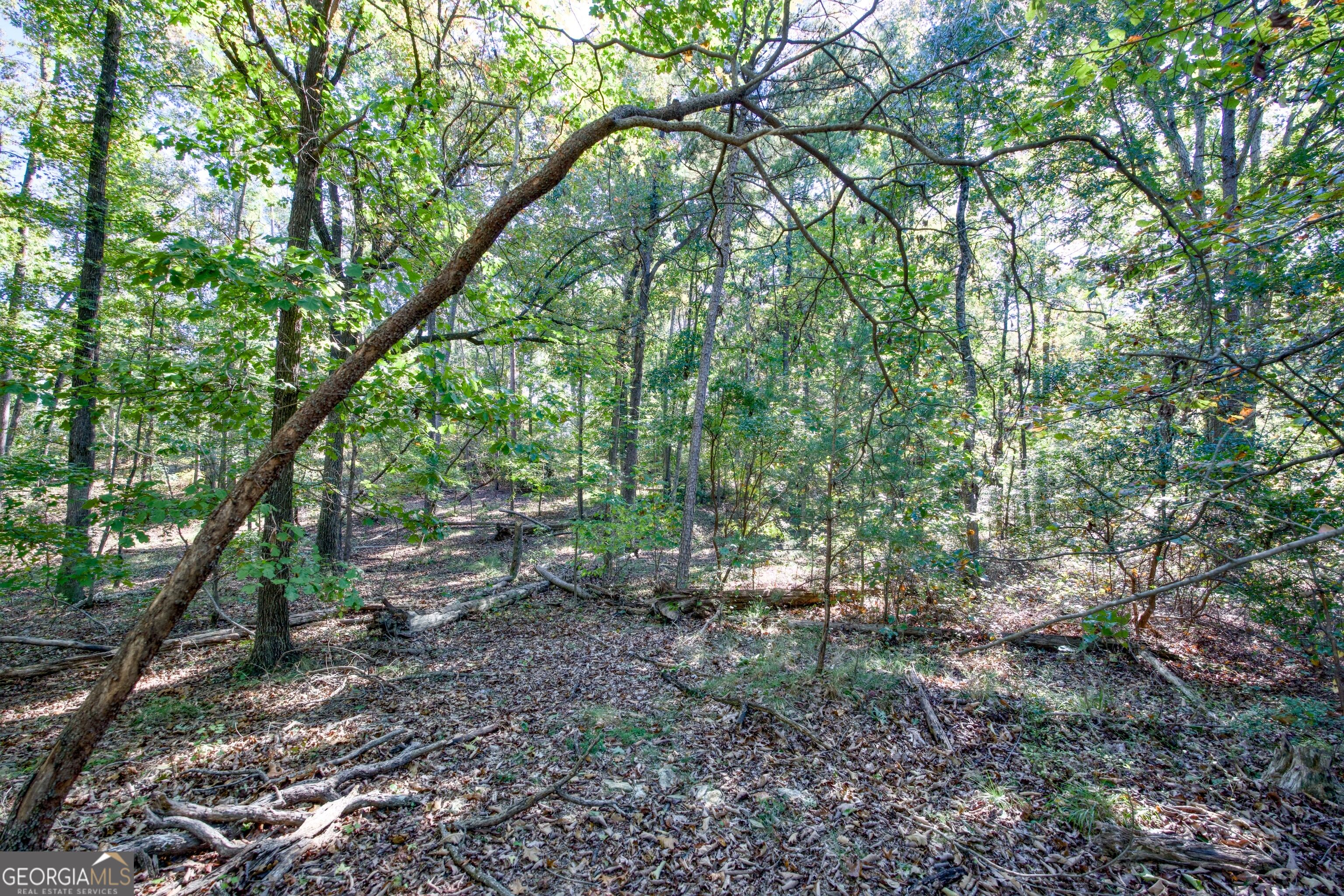 57 Ac Soapstone Road Baldwin GA 30511