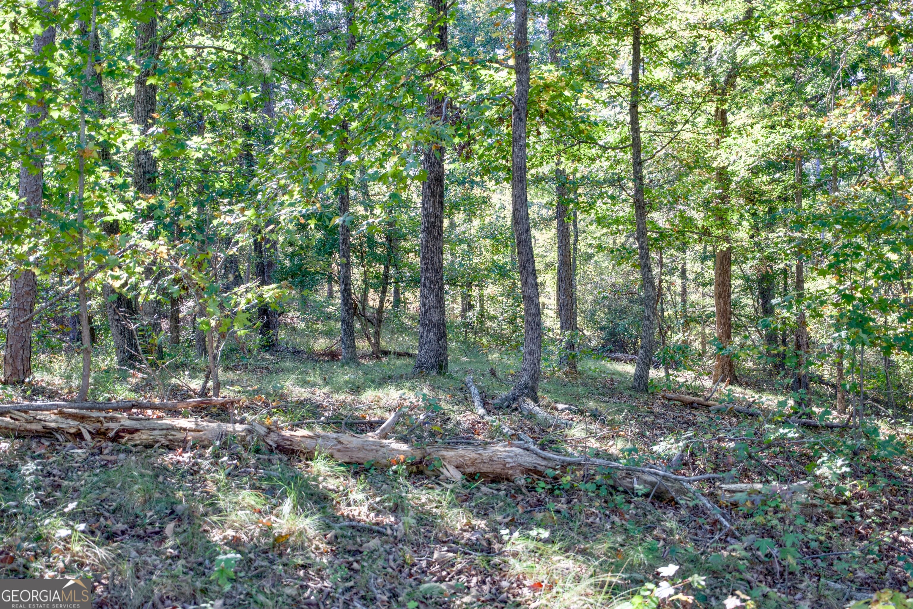 57 Ac Soapstone Road Baldwin GA 30511